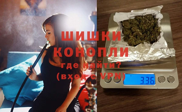 соль ск Алексин